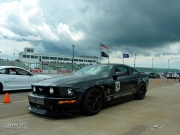 blown and bagged mustang