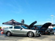 blown and bagged mustang
