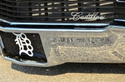 bagged 1966 Cadillac Coupe De Ville from detroit 