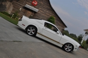 holman moody 2007 ford mustang photos