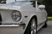 holman moody 2007 ford mustang photos