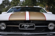 holman moody 2007 ford mustang photos