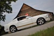 holman moody 2007 ford mustang photos