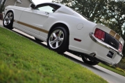 holman moody 2007 ford mustang photos