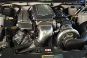 holman moody 2007 ford mustang photos