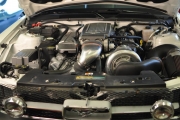 holman moody 2007 ford mustang photos