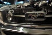 holman moody 2007 ford mustang photos