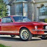 1967 Shelby GT500 owned by Shaun Fitzgerald
