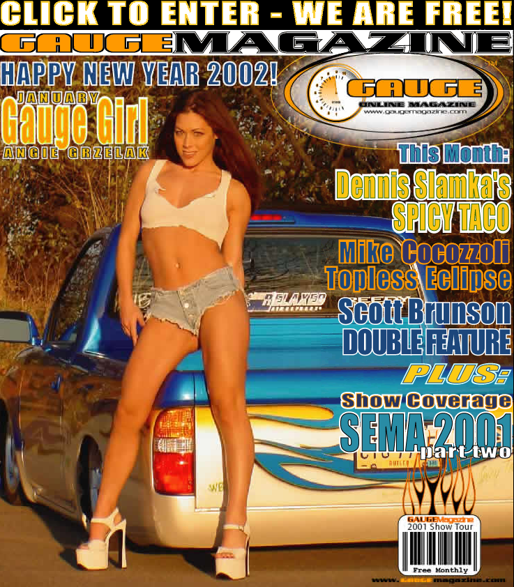 Gauge Magazine Issue - January 2002