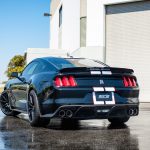mustang shelby gt350