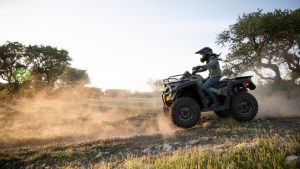 Top-5 Utility ATVs of 2022