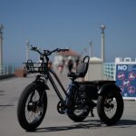 electric tricycle