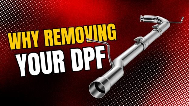 Removing Your DPF 