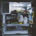 car fridge
