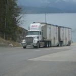 Brake Failure