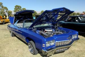 360-car-show-and-great-las-vegas-taco-festival-65