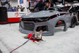 performance-racing-industry-2019-137