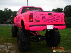 pink-vehicle-11_gauge1412202635