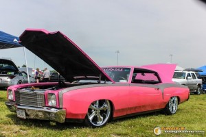 pink-vehicle-33_gauge1412202649  
