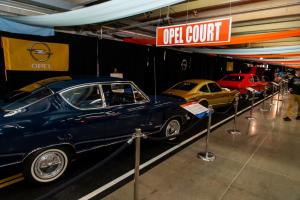 charlottes-auto-fair-2019 (120)