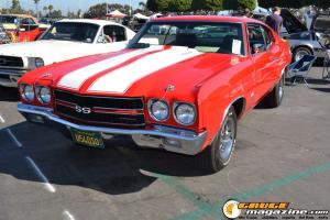 cruising-for-a-cure-176