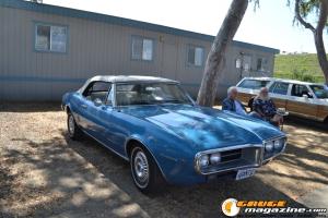 cruising-for-a-cure-296