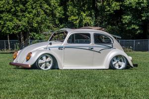 1958-vw-euro-beetle (3)
