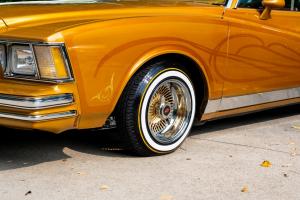 family-day-lowrider-picnic-2021-11