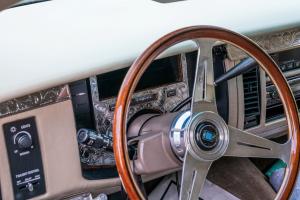 family-day-lowrider-picnic-2021-124