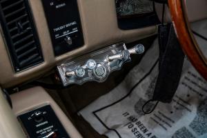 family-day-lowrider-picnic-2021-125