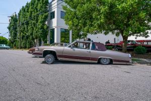 family-day-lowrider-picnic-2021-126