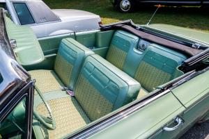 family-day-lowrider-picnic-2021-133
