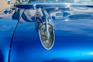 family-day-lowrider-picnic-2021-145