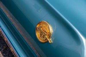 family-day-lowrider-picnic-2021-156