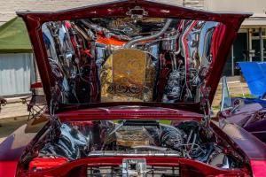 family-day-lowrider-picnic-2021-209