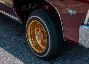 family-day-lowrider-picnic-2021-210
