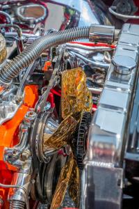 family-day-lowrider-picnic-2021-213