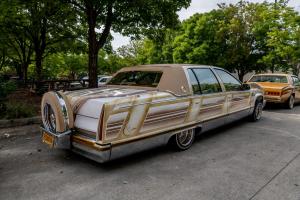 family-day-lowrider-picnic-2021-24