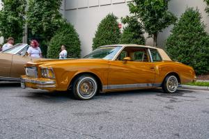 family-day-lowrider-picnic-2021-83