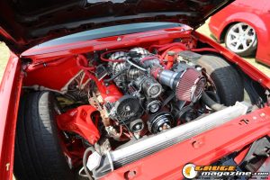 forbidden-fantasy-show-n-shine-70