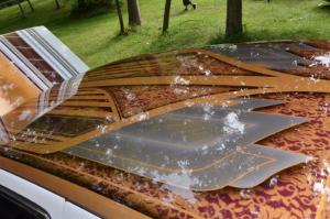 good-times-picnic-2019 (74)
