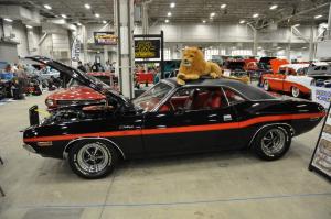 Indianapolis-world-of-wheels-2022-81