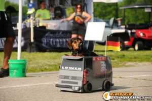 lowdown-round-up-71
