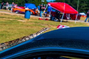 scrapfest-2019-117