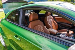 sowo 2020 car show (73)