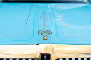 uso-and-majestics-family-day-2022-117