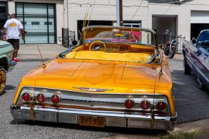 uso-and-majestics-family-day-2022-132
