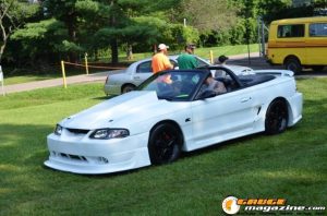 white-trash-white-walls-2025-159
